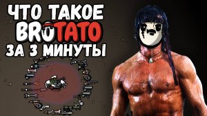 Что такое BROTATO за 3 минуты. Краткий обзор