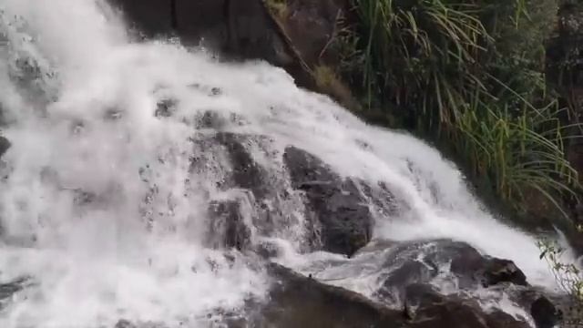 На мягкой шерсти лося спала маленькая девочка. Он был её спасением смотреть онлайн