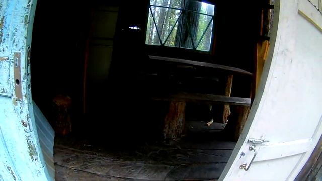 Вывоз кедрового ореха из тайги смотреть онлайн