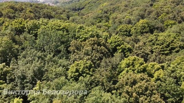 Запретные чувства смотреть онлайн