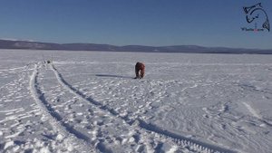 Рыбалка в Забайкалье