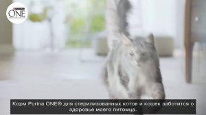 «Экспертное преображение» вместе с Purina ONE®