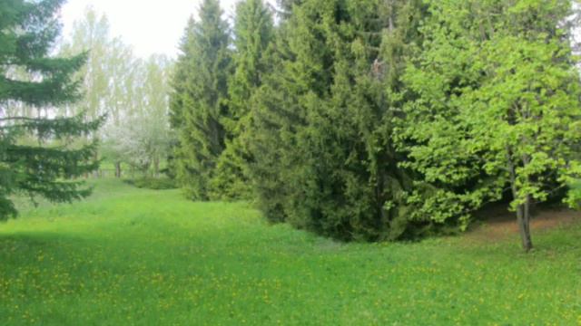 Летняя красота Ундор смотреть онлайн