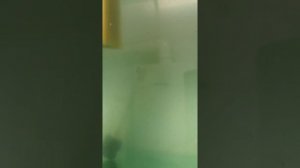 Четвёртые сутки пылают станицы... А нет. Это из другой оперы. Инкубация четвёртые сутки.