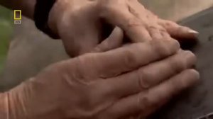 Танки.История танкостроения.