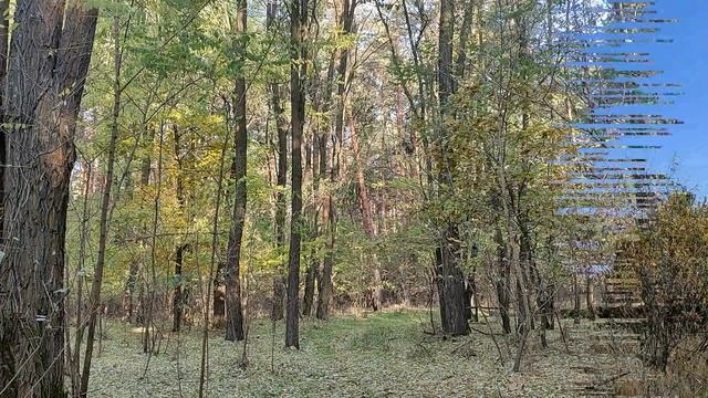 30 марта праздник Алексей Теплый. Народные приметы и традиции. Что нельзя делать. Именинники дня. смотреть онлайн