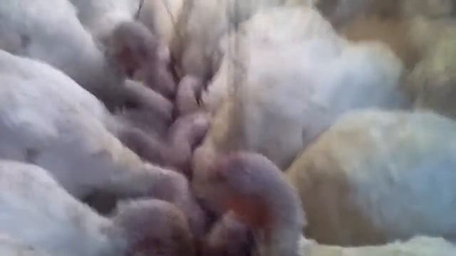 В Брундуляндии   октябрь смотреть онлайн