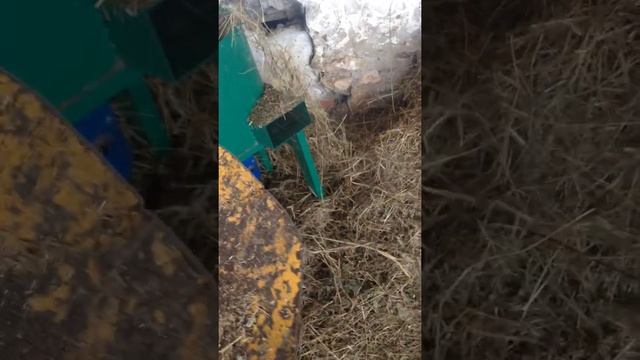 Сенорезка смотреть онлайн