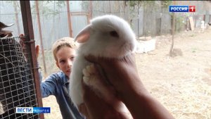 Мурат Кумпилов провел заседание кабинета министров республики