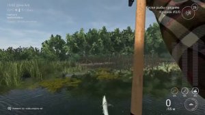 Уникальный вымпельный сом Fishing planet PS4 озеро Эверглэйдс