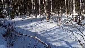 Озеро Заднее.На снегоходах тикси 250 и варяг 500