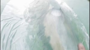 пластиковая лодка ремонт носа( 1 часть)