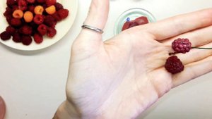 Малина своими руками. Цветы из фоамирана. Веточка малины из фоамирана как декор. raspberry from foa