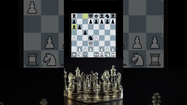 Зашел на Lichess