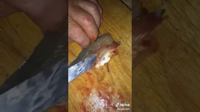 Как правильно разделать окуня на филе без костей для пирога смотреть онлайн