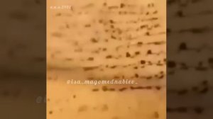 Нашид на аварском языке " Рабиуль аваль "