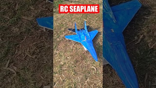 RC SEAPLANE                                       #rcplane #seaplane #f22 #scratchbuild