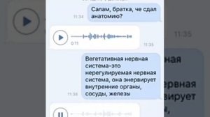 Вегетативная нервная система