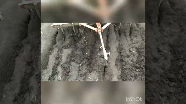 Борона для мотоблока Мотор Сич, МТЗ из рамы культиватора смотреть онлайн