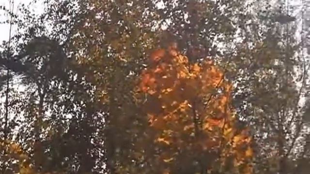 Болбасово.Полет вертолета.07.10.11 г. смотреть онлайн