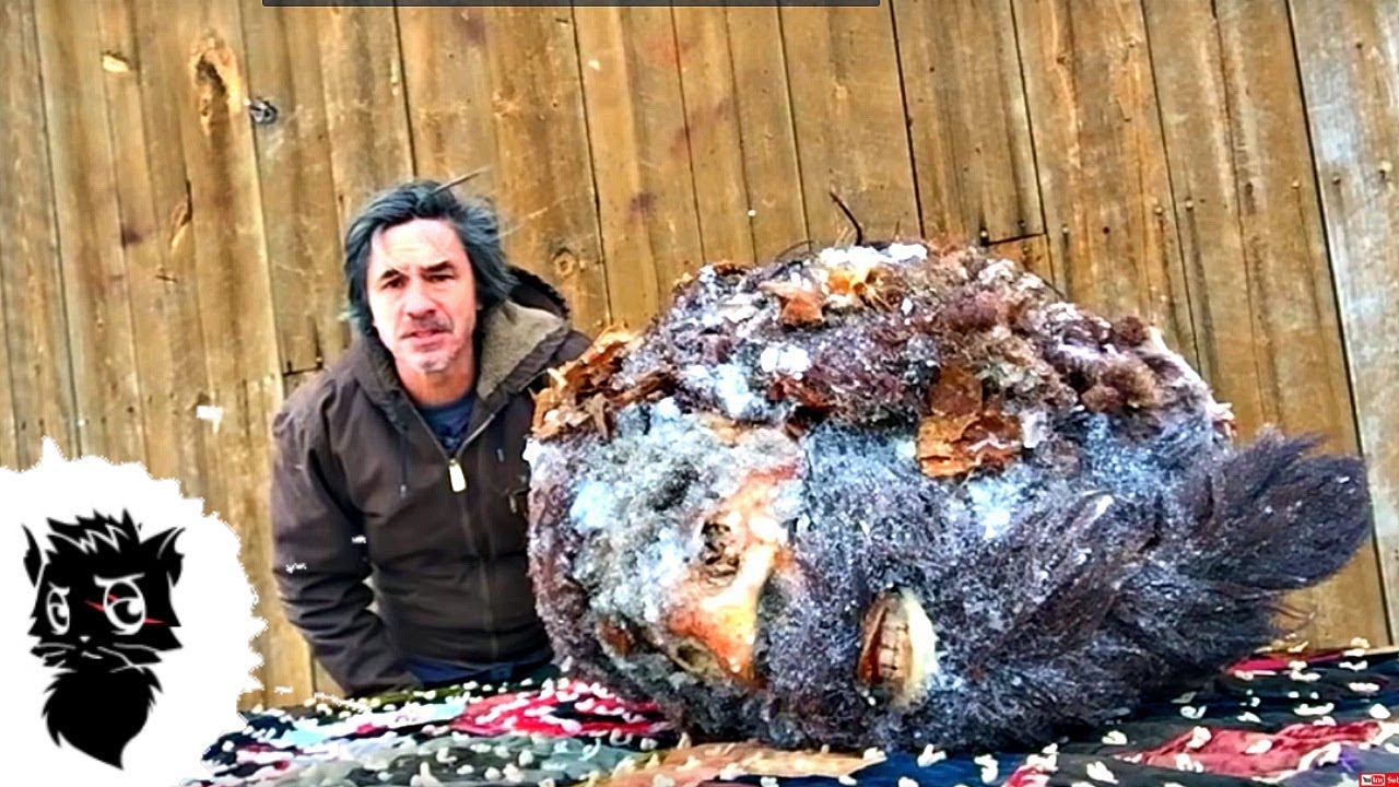 66 ЛЕТ ПРЯТАЛ ЙЕТИ В ХОЛОДИЛЬНИКЕ И ДРУГИЕ МОНСТРЫ СНЯТЫЕ НА КАМЕРУ [Черный кот] смотреть онлайн