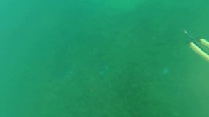 Буй для подводной охоты зачем он нужен, наглядный пример