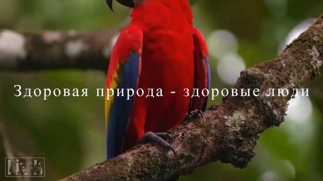 Защита окружающей среды - это то, с чего нужно начать ...