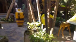 Из Нячанга в Далат/ Крейзи Хаус, кофе лювак