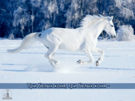 Кто поет песню три белых коня. Три белых коня клип. Крылов три белых коня. Степченко три белых коня. Три белых коня слушать.