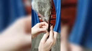 Ручное прядение из собачьей шерсти