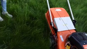 Чем косить? STIHL RM 248