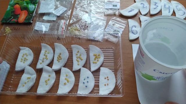 ПЕРЦЫ и БАКЛАЖАНЫ. ПРЕДпосевная обработка семян без заморочек смотреть онлайн