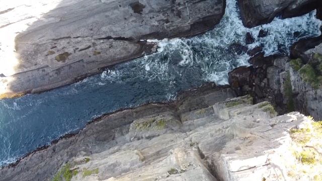 Тасмания - школьные каникулы. смотреть онлайн