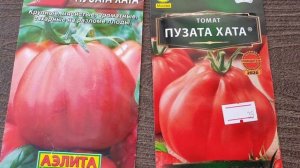 Два сорта томатов, которые сажаю из года в год. Очень урожайные,  сахаристые и крупные.