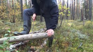 Пила Samurai Ichiban GC-330-LH в работе