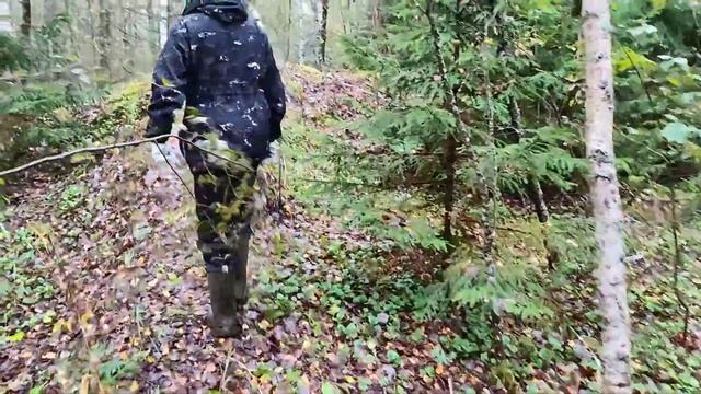 В поисках ВОДОЕМА  где ловится РЫБА/ловля на ФИДЕР на Москва РЕКЕ, ЛВОЛЯ НА ПОПЛАВОК НА РЕЧКЕ, ОКУН