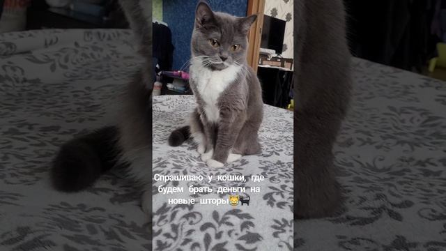 VID_471720514_065544_497.mp4