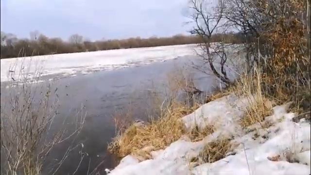 Выезд на речку на мотоблоке Пахарь 8 л с смотреть онлайн