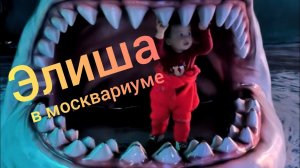 Москвариум | Ботанический сад ВДНХ