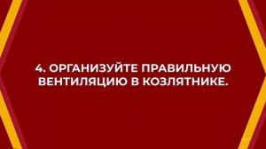 Онлайн курс обучения «Животноводство» - 6 советов по содержанию коз зимой