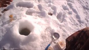 Зимняя рыбалка! Тестируем прикормку из яблочного уксуса. морской соли ,чеснока. подводная съемка!