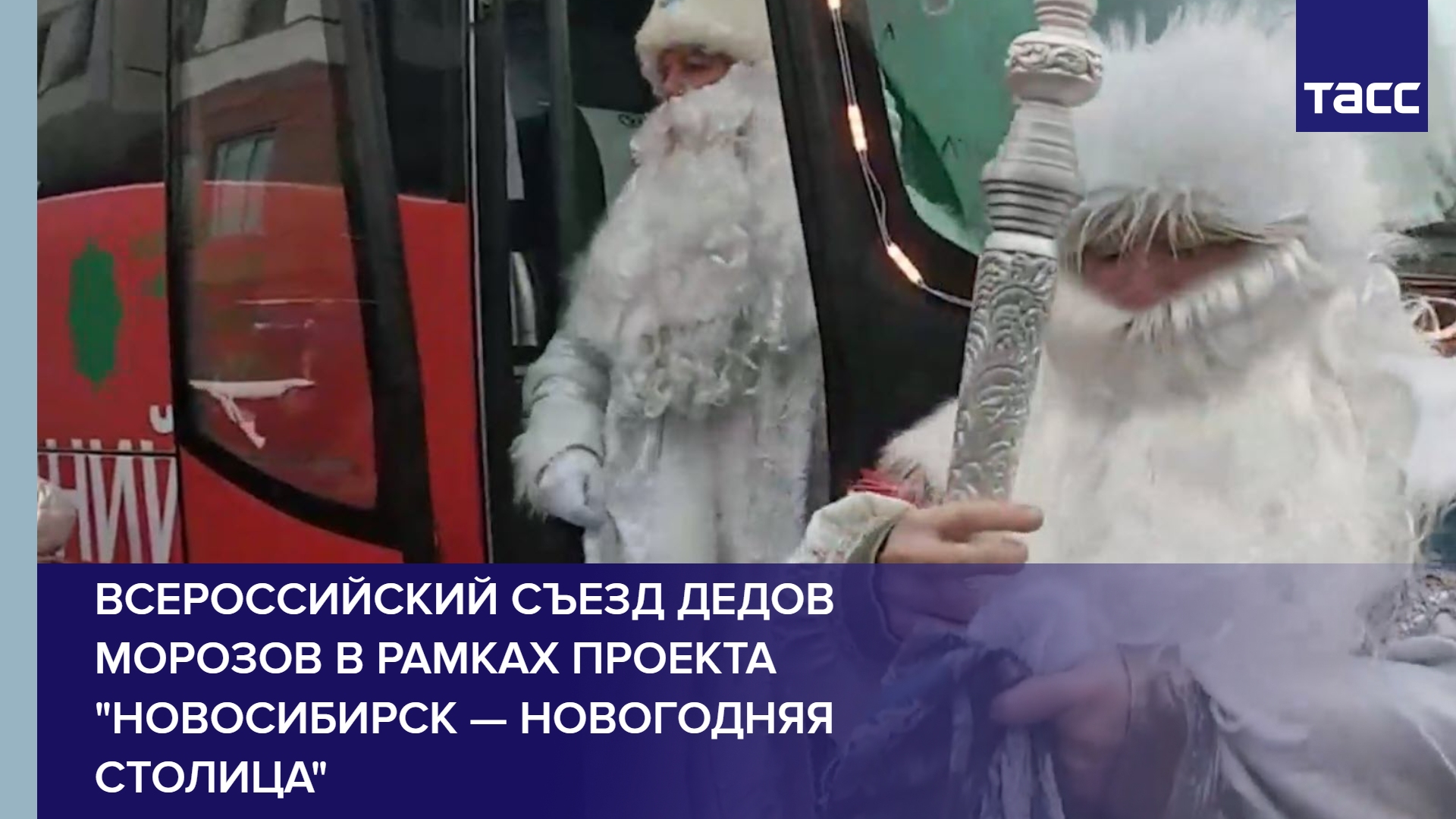 Всероссийский съезд Дедов Морозов в рамках проекта "Новосибирск — новогодняя столица" #shorts