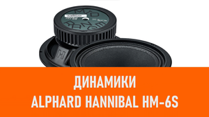 Распаковка динамиков Alphard Hannibal HM-6S