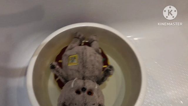 Влог ??????????? смотреть онлайн