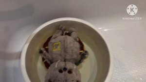 Влог ???????????