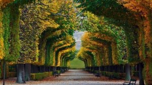 Как выглядит настоящая осень в разных столицах мира