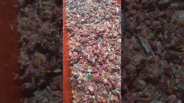 Полезная еда для моих любимых чихуахуа Симферополь смотреть онлайн