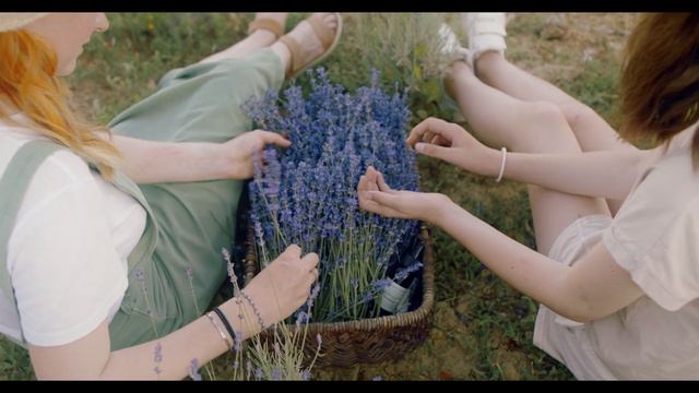 ЛАВАНДА ? ПОСАДКА И УХОД ? Лаванда в горшке