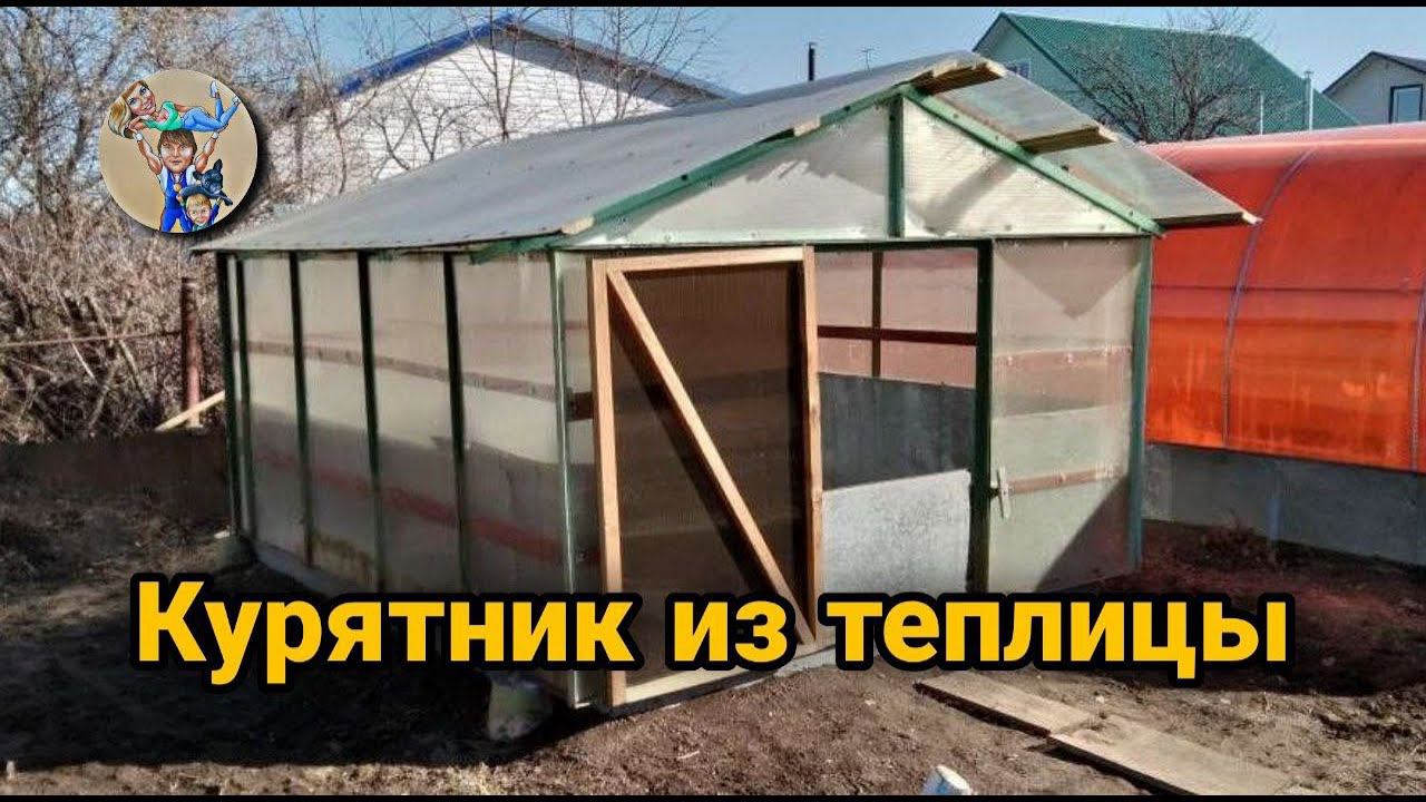 Курятник из теплицы. Куры как бизнес.