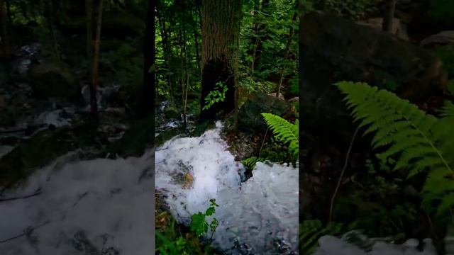 Самая чистая вода 🍀из ледника